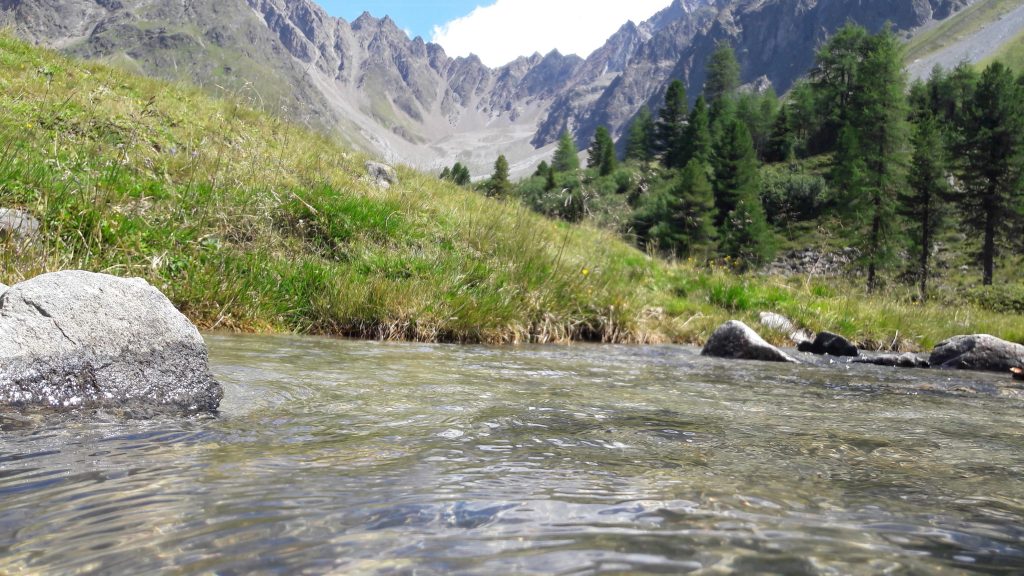 Blick über das Wasser an der Verpeilhütte.