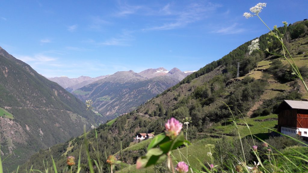 Blick vom Meraner Höhenweg
