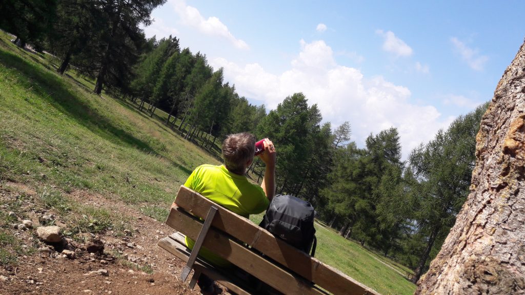 Rast auf dem Weg zur Meraner Hütte
