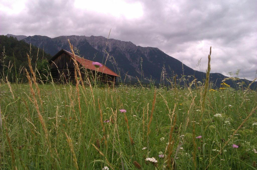 Bezaubernde Landschaften