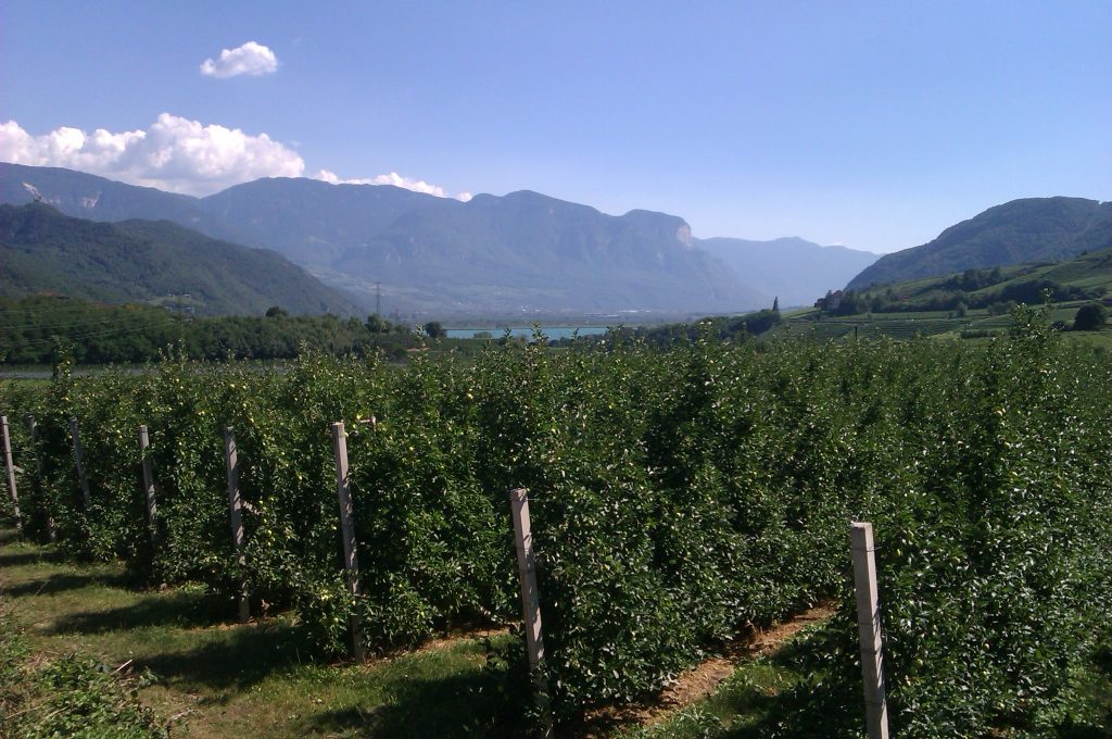 Blick zum Kalterer See