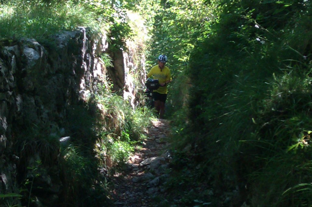 Verirrt im Wald