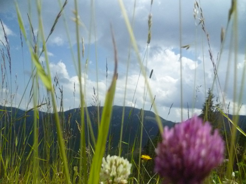Auf dem Weg zum Chopok