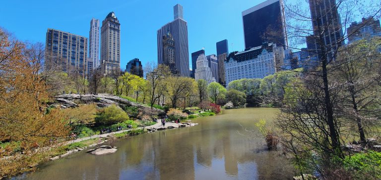 Central Park & Plaza Hotel
