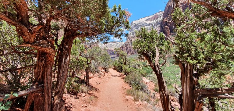 Zion Nationalpark