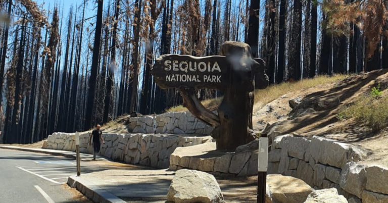 Sequoia Nationalpark