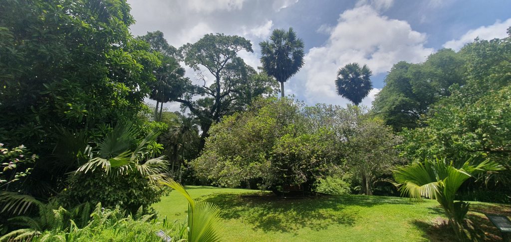 Botanischer Garten in Victoria