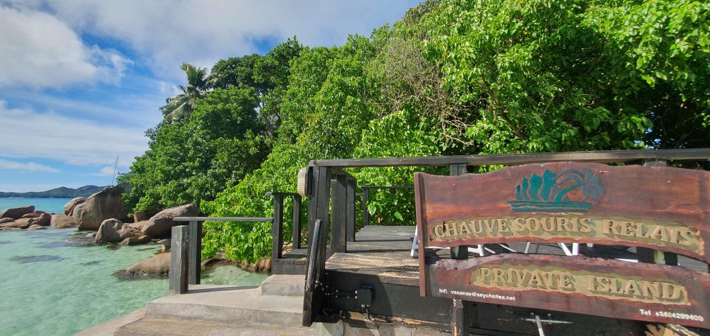 Chauve Souris Relais