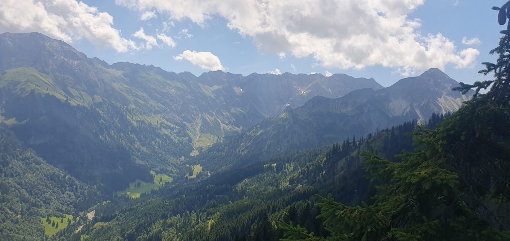 Blick zum Nebelhorn
