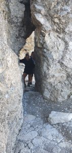 Heilbronner "Törle"