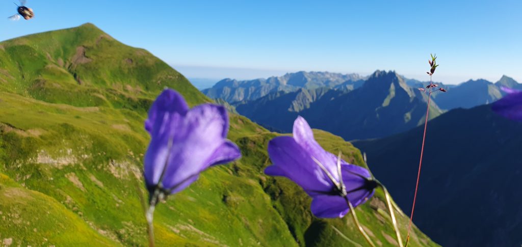 Ein stiller Augenblick